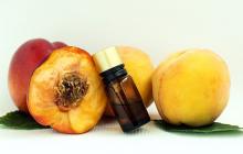Персиковое масло — свойства и применение Где и как можно использовать персиковое масло